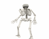 Skeleton Avatar