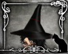 *SK* Batty Witch Hat