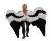 wings ange et demon