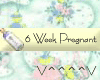6 Weeks Pregnant (Y)