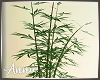 Bamboo V2