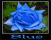 :) Blue Rose 3