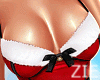 Santa Set Red