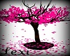 Pink Forever Tree