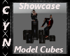 Showcase Model Cubes