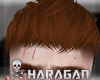 TROY-GINGER