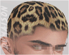 Leo Haircut