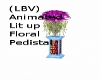 (LBV) Anim Lit up Flor P