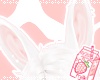 牛MAID: white bun ears