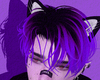 謙多 kenta | purple