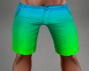 Blue/Green Ombre Shorts
