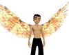 Animated Fire WIngs