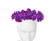 Flower Crown H