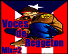 Voces de Reggeton Mix #2
