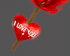 I love you Rose