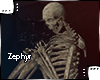 [Z.E] Skeleton