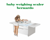 weighing scalers bernard