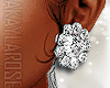 💎DIAMOND EARRINGS