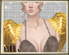 ML Gold Shoulder Wings