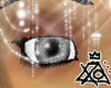 [XO] Gray Eyes (Uni)