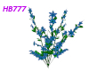 HB777 Clematis Bush Blue
