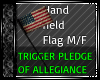 U.S.A Flag HandH w Pledg