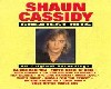 Shawn Cassidy-Thats Rock