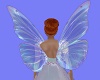 butterfly wings