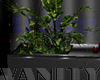 {V} ::Ciuz:: Plant 2