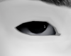 eye VZ12FD