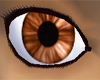 =m=Killer Bronze Eyes
