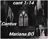 Cantus Mariana Bo +Light