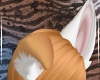 Shiba Ears V3