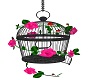 roses cage