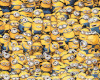 Minions pjs