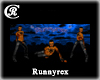 [R] Runnyrex