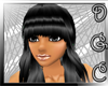 *DGC Sheila Noir