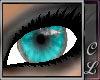 Obsession Eye - Aqua