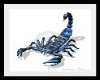 bluscorpion