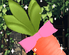 ♡ Carrot Cutie