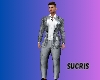 SILVER GRAY LUXURY SUIT