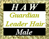 Guardian Leader Hair - M