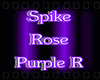 lYl Spike Rose Purple R