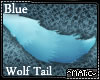 Blue ~ Wolf Tail