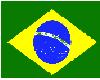 Brazil Body Flag