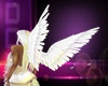ANGEL Wings