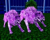 Purple Guard Wolves