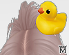 May🐥Rubber Duck