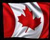 Canada Flag Triggerd