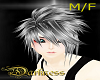 ~Jin silvery M/F